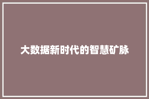 大数据新时代的智慧矿脉