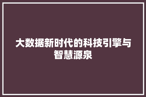 大数据新时代的科技引擎与智慧源泉