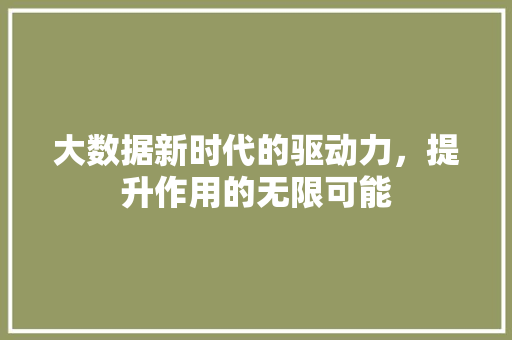 大数据新时代的驱动力，提升作用的无限可能