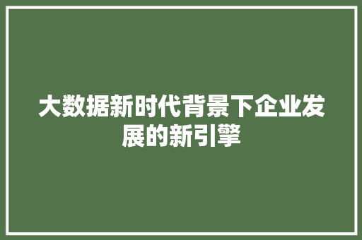 大数据新时代背景下企业发展的新引擎
