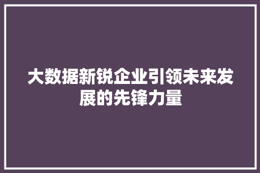 大数据新锐企业引领未来发展的先锋力量