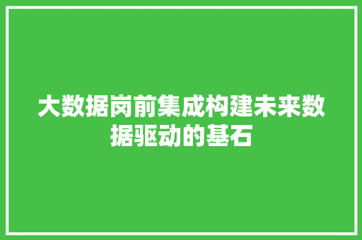 大数据岗前集成构建未来数据驱动的基石