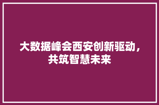 大数据峰会西安创新驱动，共筑智慧未来
