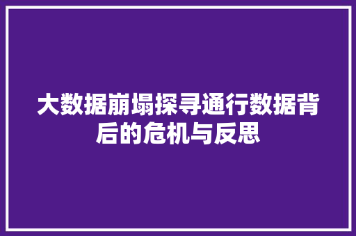 大数据崩塌探寻通行数据背后的危机与反思