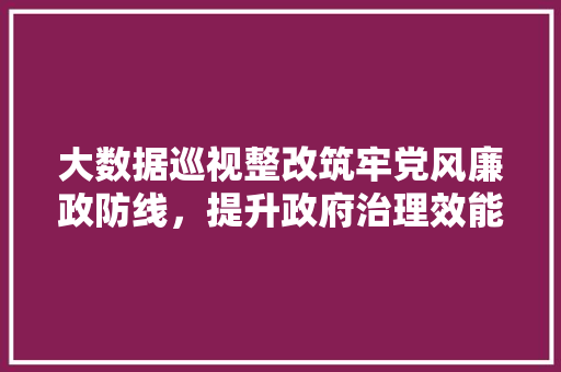 大数据巡视整改筑牢党风廉政防线，提升政府治理效能