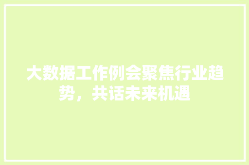 大数据工作例会聚焦行业趋势，共话未来机遇