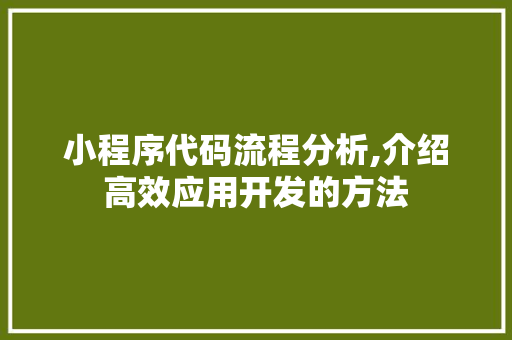 小程序代码流程分析,介绍高效应用开发的方法