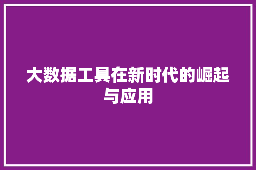 大数据工具在新时代的崛起与应用