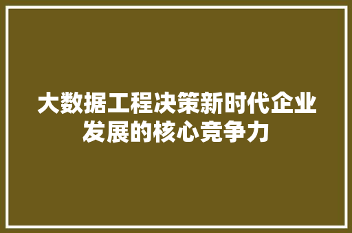大数据工程决策新时代企业发展的核心竞争力