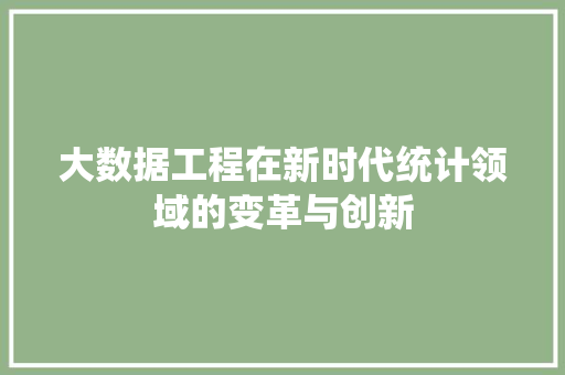 大数据工程在新时代统计领域的变革与创新