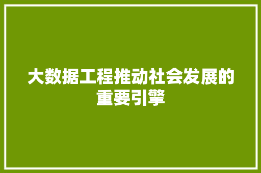 大数据工程推动社会发展的重要引擎
