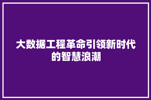 大数据工程革命引领新时代的智慧浪潮