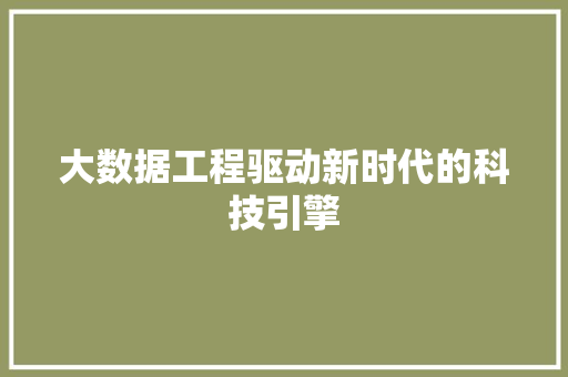 大数据工程驱动新时代的科技引擎