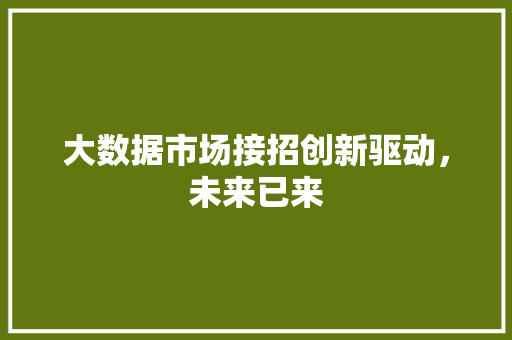 大数据市场接招创新驱动，未来已来