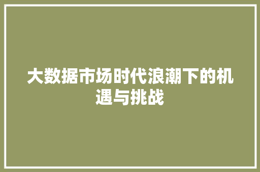 大数据市场时代浪潮下的机遇与挑战