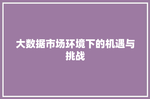 大数据市场环境下的机遇与挑战