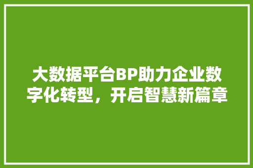 大数据平台BP助力企业数字化转型，开启智慧新篇章