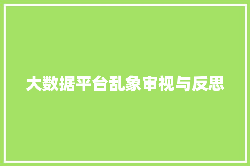 大数据平台乱象审视与反思
