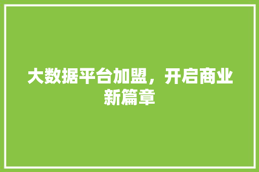 大数据平台加盟，开启商业新篇章