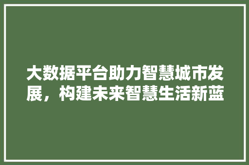 大数据平台助力智慧城市发展，构建未来智慧生活新蓝图