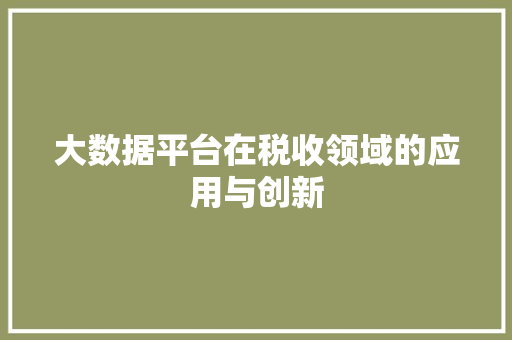大数据平台在税收领域的应用与创新