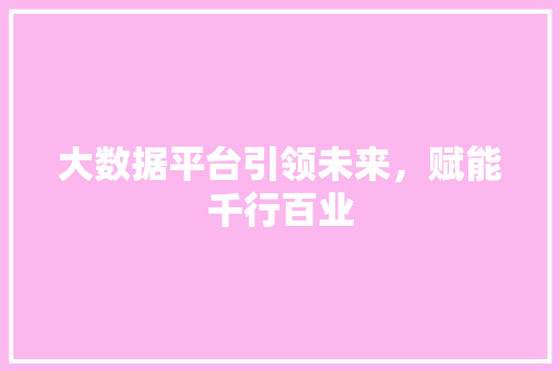 大数据平台引领未来，赋能千行百业