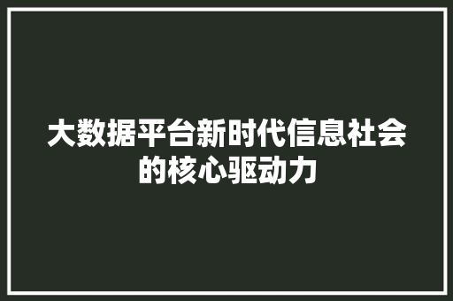 大数据平台新时代信息社会的核心驱动力