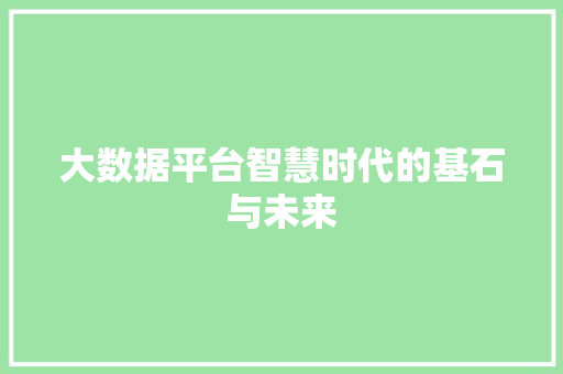 大数据平台智慧时代的基石与未来
