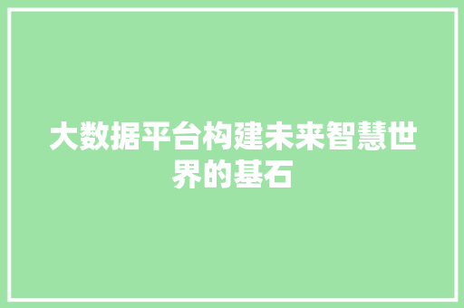 大数据平台构建未来智慧世界的基石
