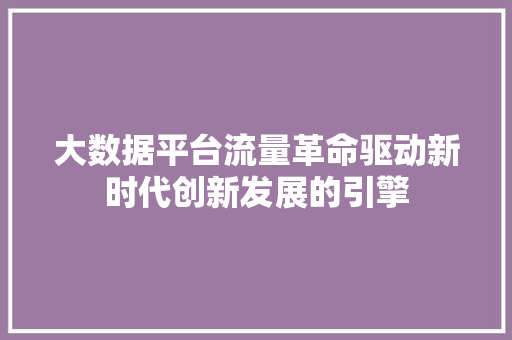 大数据平台流量革命驱动新时代创新发展的引擎