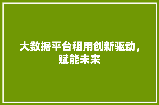 大数据平台租用创新驱动，赋能未来
