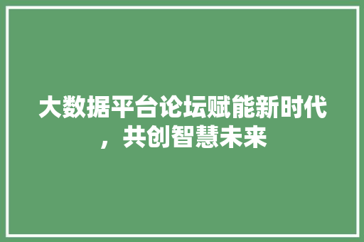大数据平台论坛赋能新时代，共创智慧未来