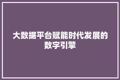 大数据平台赋能时代发展的数字引擎