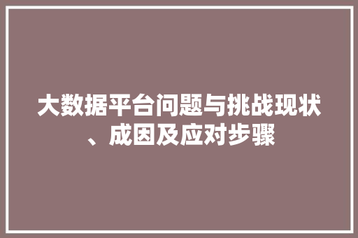 大数据平台问题与挑战现状、成因及应对步骤