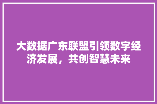 大数据广东联盟引领数字经济发展，共创智慧未来
