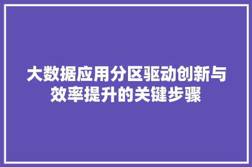 大数据应用分区驱动创新与效率提升的关键步骤