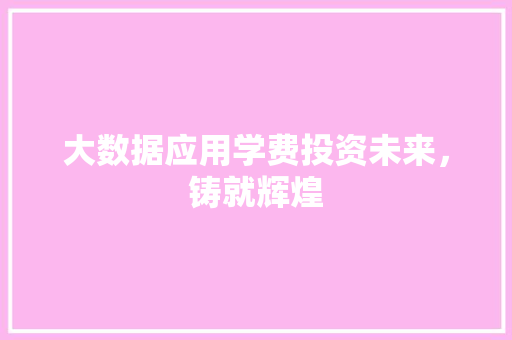大数据应用学费投资未来，铸就辉煌