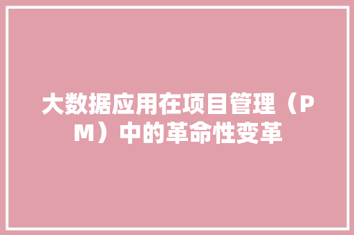 大数据应用在项目管理（PM）中的革命性变革