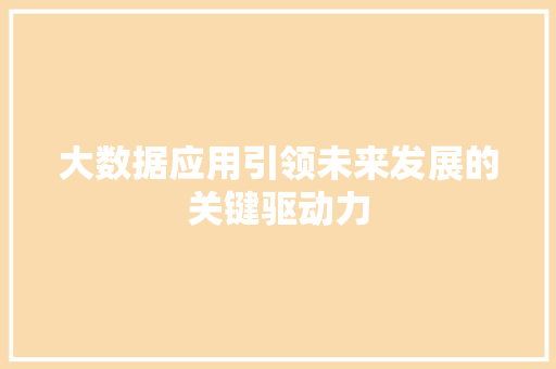 大数据应用引领未来发展的关键驱动力