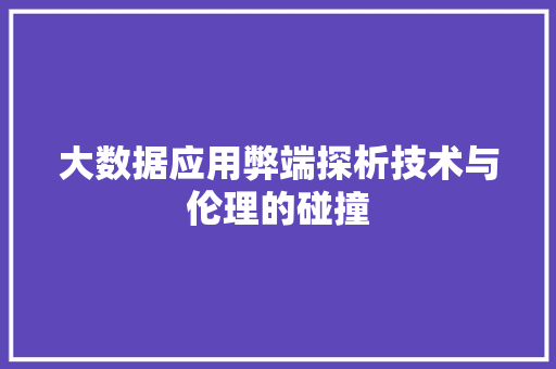 大数据应用弊端探析技术与伦理的碰撞