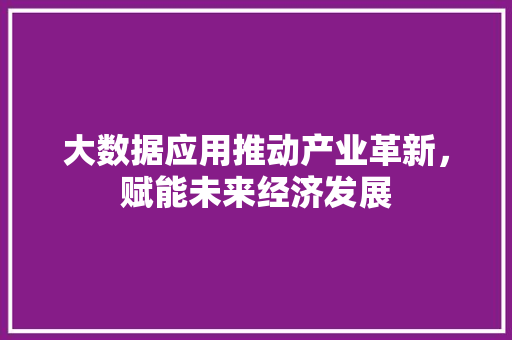 大数据应用推动产业革新，赋能未来经济发展