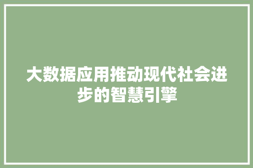 大数据应用推动现代社会进步的智慧引擎