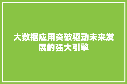 大数据应用突破驱动未来发展的强大引擎