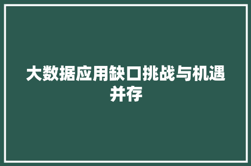 大数据应用缺口挑战与机遇并存