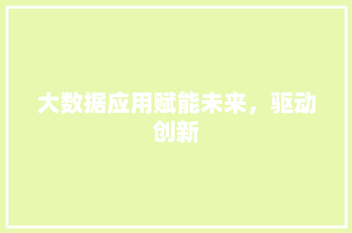 大数据应用赋能未来，驱动创新