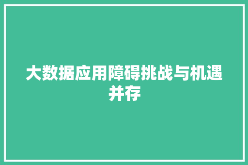 大数据应用障碍挑战与机遇并存