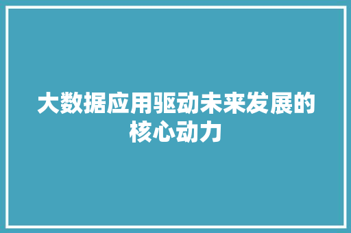 大数据应用驱动未来发展的核心动力