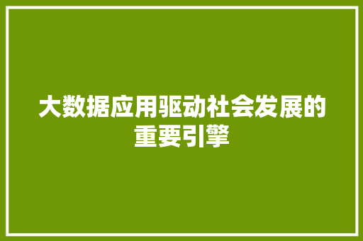 大数据应用驱动社会发展的重要引擎