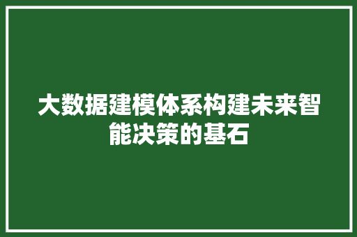 大数据建模体系构建未来智能决策的基石