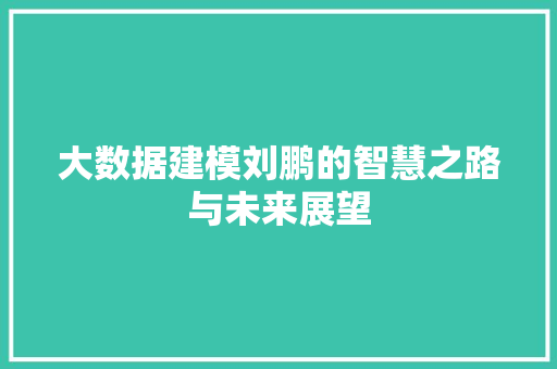 大数据建模刘鹏的智慧之路与未来展望